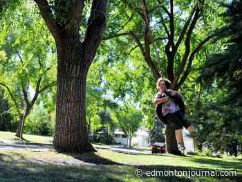 Keith Gerein: Edmontonians should brace for a long nightmare on our elm streets