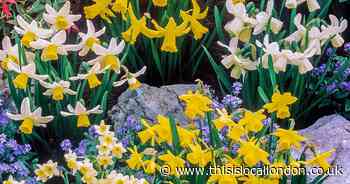 Garden joy in miniature!