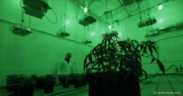 Texas Democrat smokes blunt, bong in pro-weed campaign ad