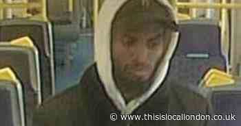 Man masturbated in front of woman on Southeastern train from London Bridge