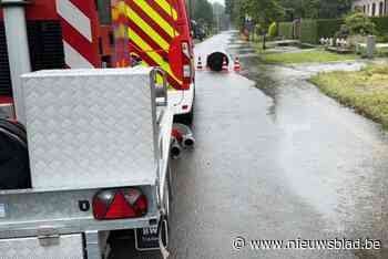 GroenXL wil meer ontharding in Lint, burgemeester verwacht ingrepen na recente overstromingen
