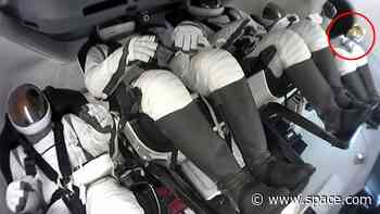 Elon Musk's pet dog inspires young girl's design for Polaris Dawn zero-g indicator