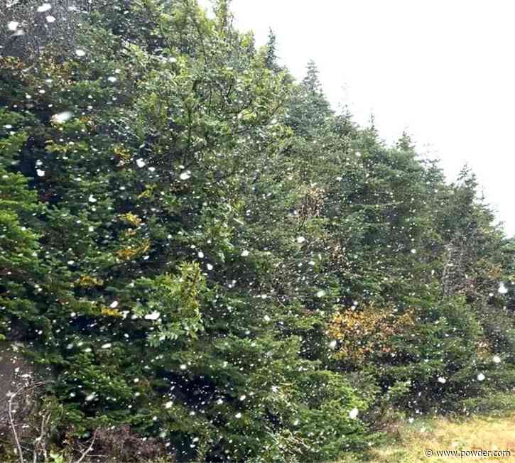 Vermont Sees First Snowfall of Winter '24/'25 Season