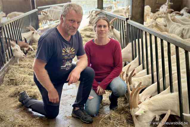 Geitenboerderij ’t Reigershof viert 25 jaar biologisch boeren en gaat voor volgende stap: “We willen altijd pioniers zijn”