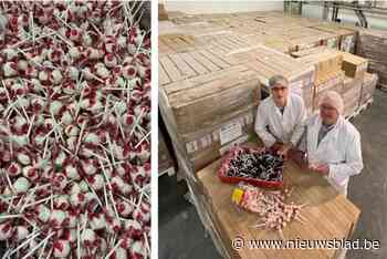 Nog 27 miljoen (!) lollystokjes op voorraad, maar fabrikant mag die straks niet meer gebruiken: “Er is totaal niet nagedacht over dit verbod”