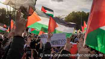 Journalist bei propalästinensischer Demonstration attackiert