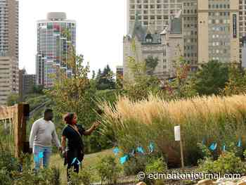 Edmonton weather: A calm feels like fall day, before three rainy days