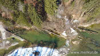 Zurück zum alpinen Wildfluss: neues Holz für den Lech