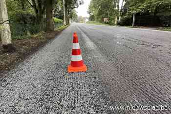 Voorlopig geen verkeersinfarct voor aanleg betere fietspaden op N12, werken schieten goed op ondanks regenweer