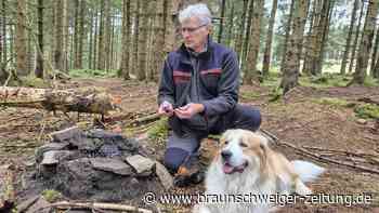 Harz als „Selbstbedienungsladen“? So bewertet das Forstamt das Rainbow Gathering