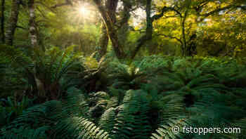 A Simple Workflow for Better Landscape Photo Edits