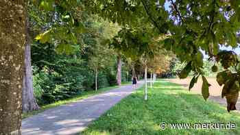 Dieses neue Projekt soll Weilheim grüner machen