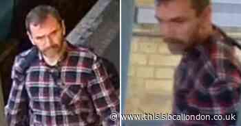 Woman bitten by dog onboard train on Bromley route