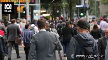 Why Australia's share market is near record levels despite 'high risks' to the economy
