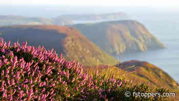 How to Use Centralized Composition for Stronger Photos