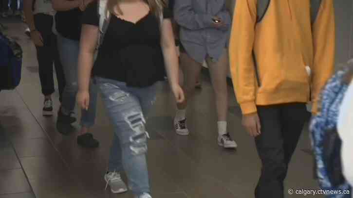 'From bad to worse': Mental health declining among youth since 2019: Stat Can