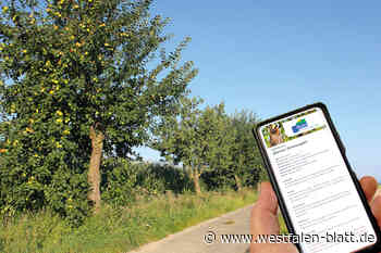 Handy hilft bei der Obsternte