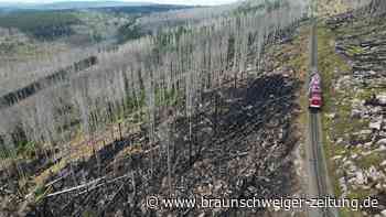 Feuer am Brocken: Spekulationen um Brandstiftung werfen Fragen auf