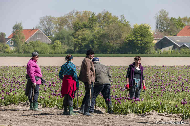 Adviesraad Migratie: “Certificering uitzendbureaus draagt bij aan tegengaan misstanden”