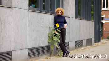 Hoekjes, trapjes, hekjes