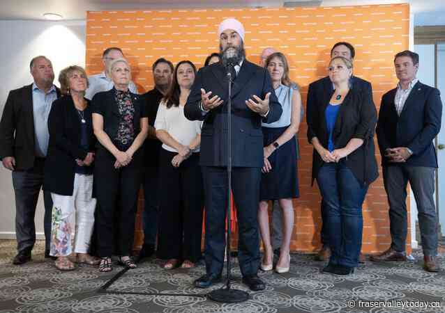 New Democrats expected to talk strategy for fall House sitting at caucus retreat