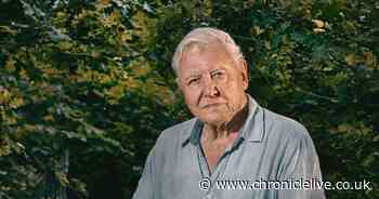 Sir David Attenborough confirmed for new BBC series aged 98