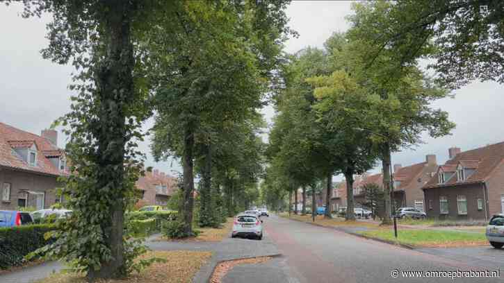 Bewoners zijn plakkende lindebomen zat: 'Het is niet te doen'