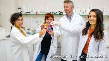 Plant-Ex Ingredients secures £9m to drive expansion