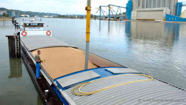 Onduidelijkheid over Franse graanexportcijfers