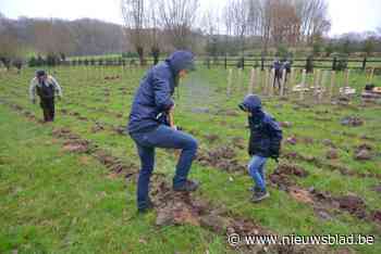 Asse neemt opnieuw deel aan de ‘behaag je tuin’-actie en biedt bomen en struiken met korting aan