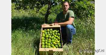 "Wij zijn een brug tussen biologische boeren en bewuste consumenten"