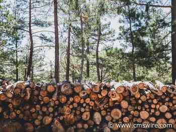 Mastering the Digital Experience Tech Stack for 2025