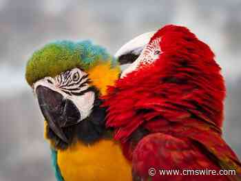 Building a B2B Brand: Inside Secrets from 50 CMOs