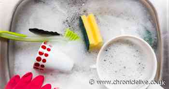 Brits wash dishes wrong according to Americans as Tiktok video goes viral with 4.8m views