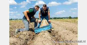 Frank Poelman, Landjuweel: "De aardappelverkoop is deze zomer goed doorgelopen"