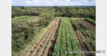 DOEN Participaties investeert in regeneratieve landbouw