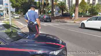 Video e testimoni: ore contate per il pirata della strada che ha ucciso Daniela Circelli