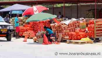 Uienexport laat een stijgende lijn zien