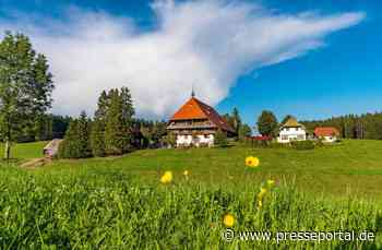 30 Jahre: "Die Fallers" feiern Jubiläum