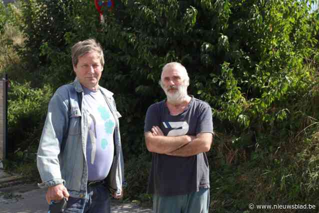 Ongedierte teistert buurt door wildgroei langs spoorlijn: “De auto van de buren raakte zelfs al beschadigd door een marter”