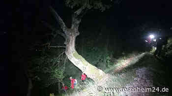 Bergwacht rettet völlig erschöpfte Frau (28) aus Kreis Traunstein vom Fuderheuberg