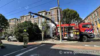 Boom waait om en valt op auto in Arnhem