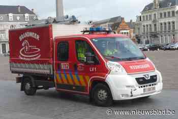 Brandweer ruimt omgevallen boom in Riekestraat