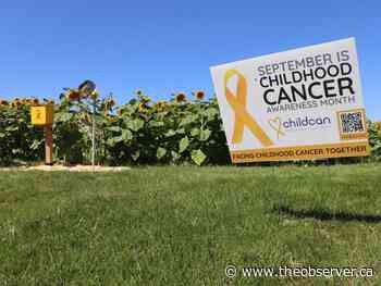 Lambton sunflower memorial celebrating 5th year Sunday