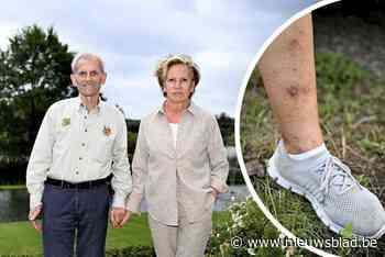 Geen wandelingen meer op de dijk, en iedereen in lange broek: hier worden ze knettergek van alle knijten