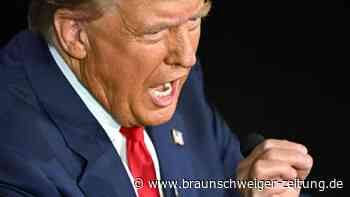 Migranten essen Haustiere? Trumps Lüge hat fatale Folgen