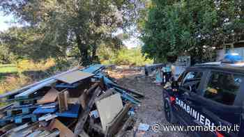 Cani feriti e rifiuti nella discarica abusiva di Prima Porta