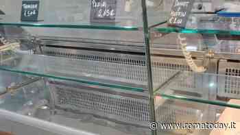 Maltempo, gli studenti di Tor Vergata: "Aule allagate e senza corrente". L'ateneo: "Disagi minimi"