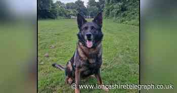 Police dog found man who fled police after 3KG of cocaine found in car on M61