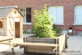 Katrinahof moet buitenschoolse opvang voor mensen met beperking herzien wegens te weinig middelen